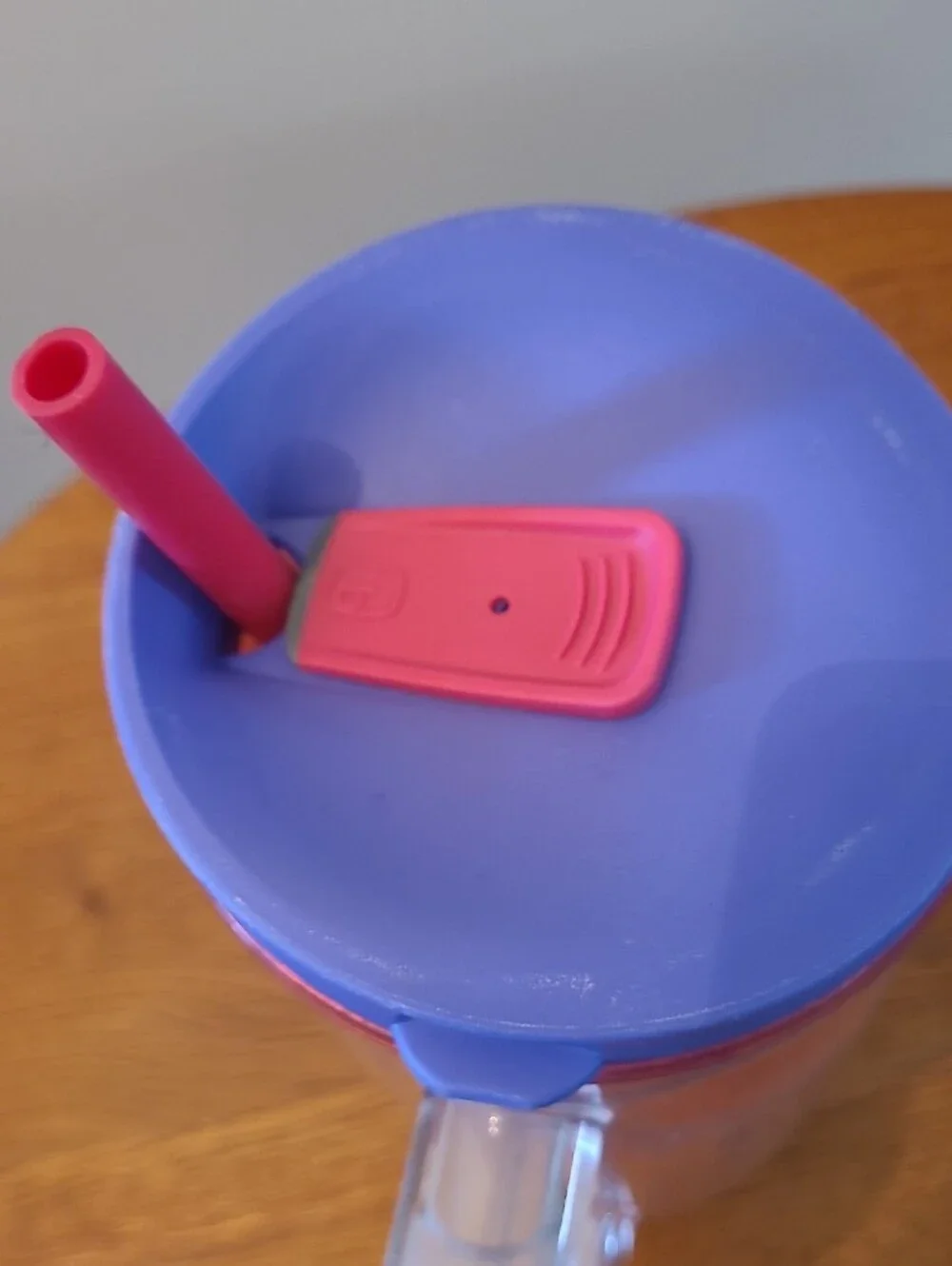 Pink & Blue Double-Wall Travel Mug with Straw